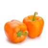 Orange Capsicum 1 pcs
