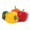 Colored Capsicum 2 pcs Each