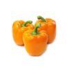 Orange Capsicum 5 pcs